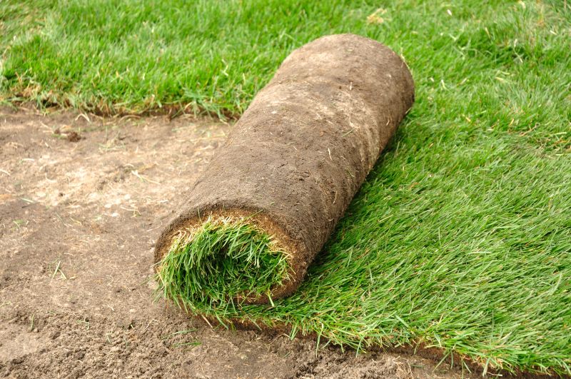 Bahia Sod Installation in Honolulu, HI