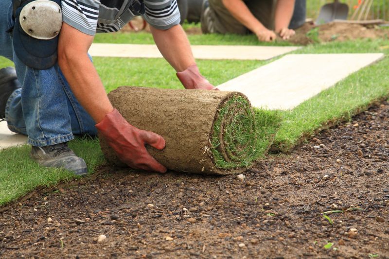 Sod Installation in Ventura County, CA