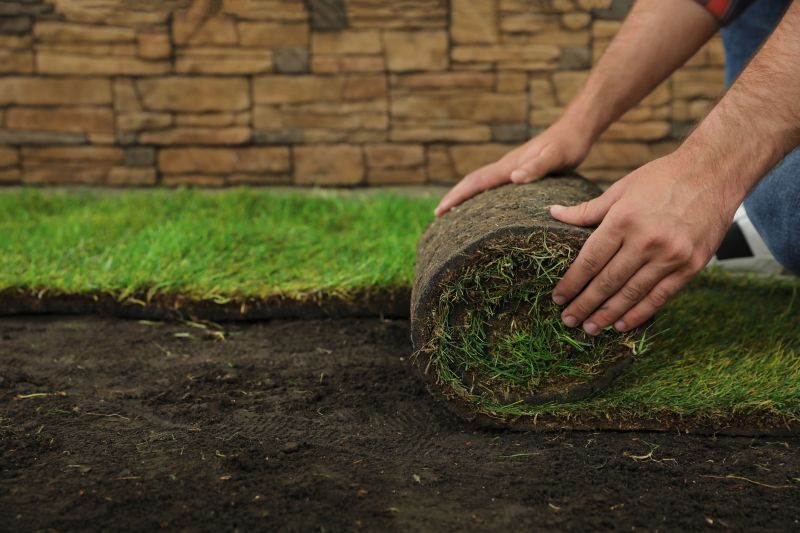 Bluegrass Sod Installation in Aiken, SC