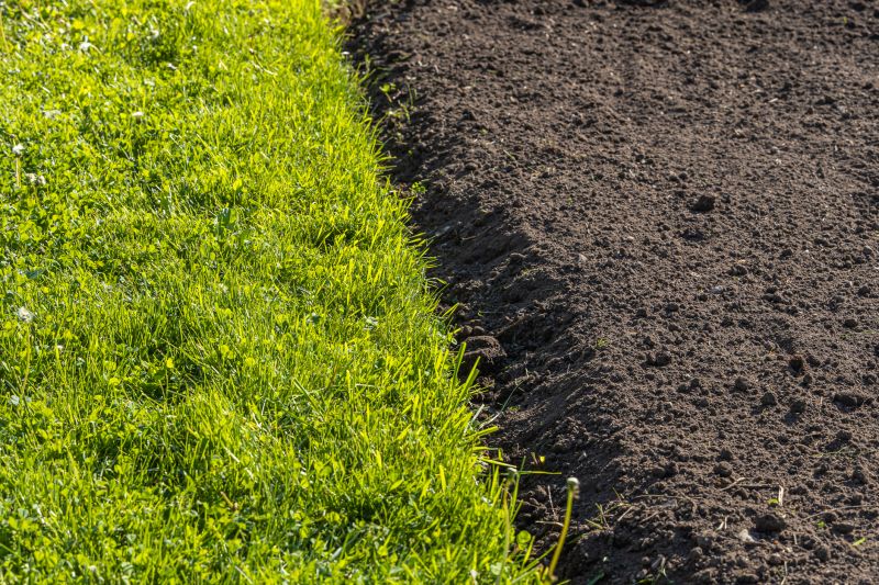 Bluegrass Sod Installation in Honolulu, HI