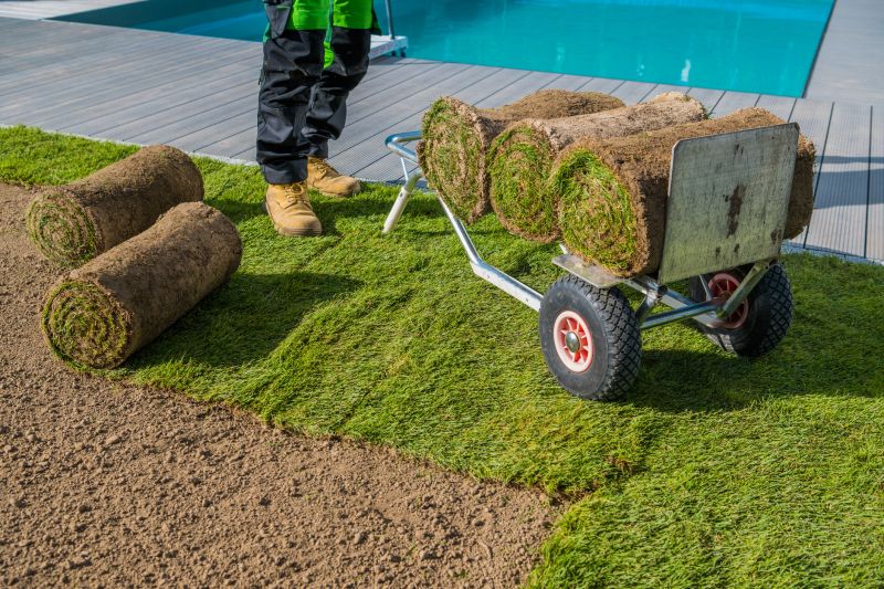 Centipede Sod Installation in Rockwall, TX