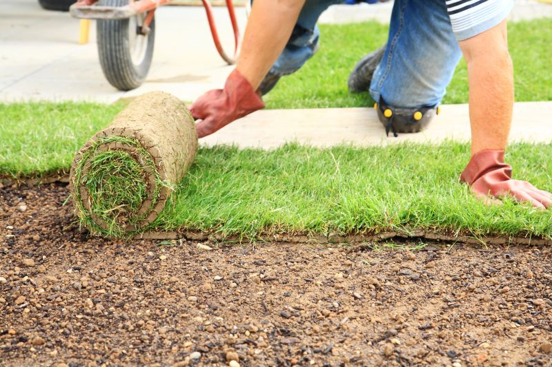 Fescue Sod Installation in Ventura County, CA
