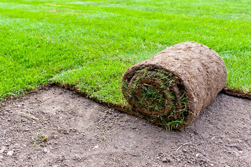 Fescue Sod Installation in Ventura County, CA