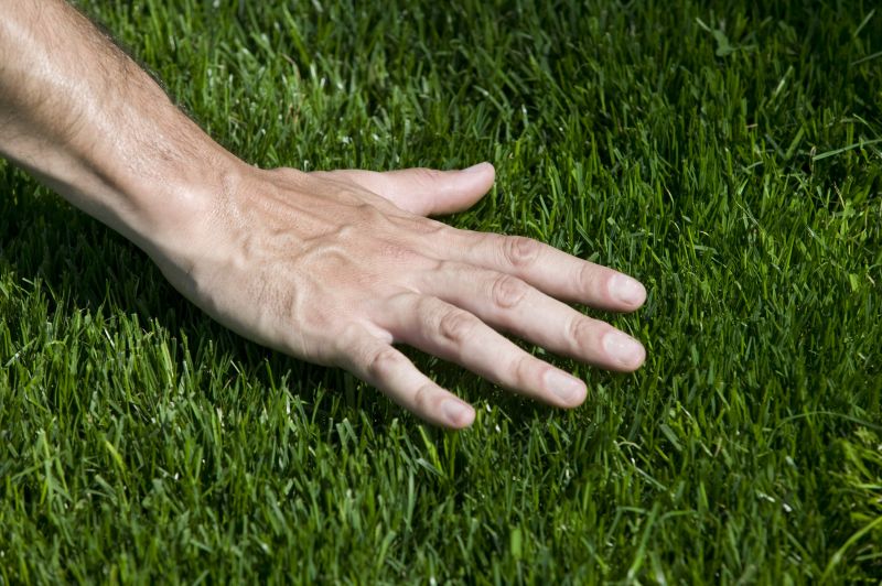 Grass Installation in Rockwall, TX