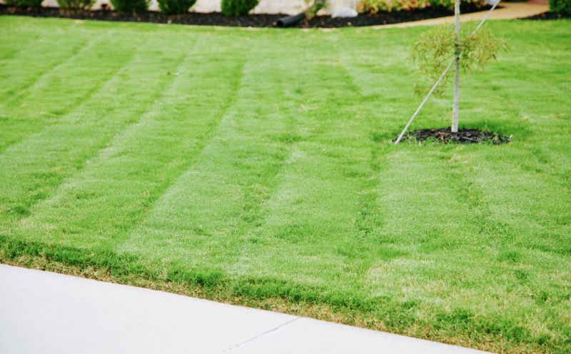 Grass Installation in Honolulu, HI
