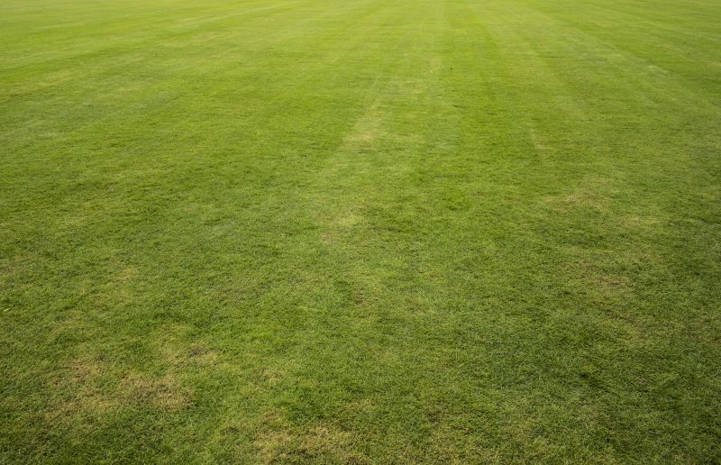 Grass Installation in Aiken, SC