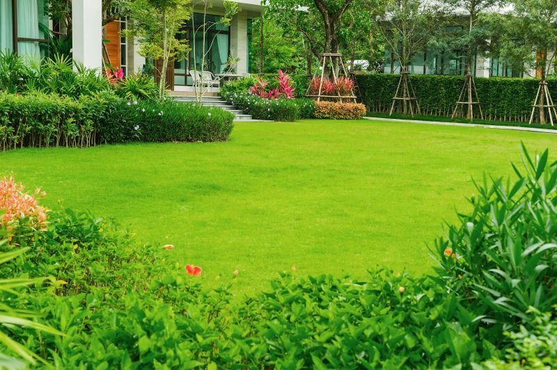 Lawn Replacement in Aiken, SC