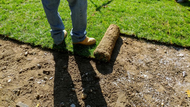 Sod Installation in Ventura County, CA