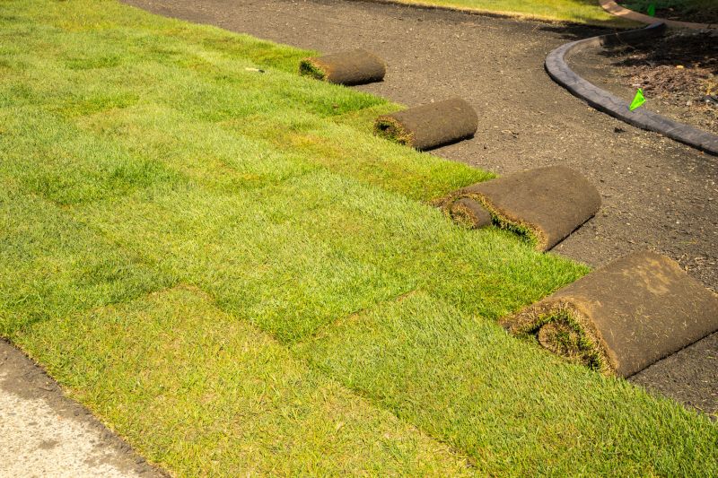 Sod Installation in Ventura County, CA