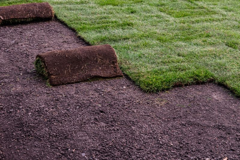 Sod Installation in Rockwall, TX