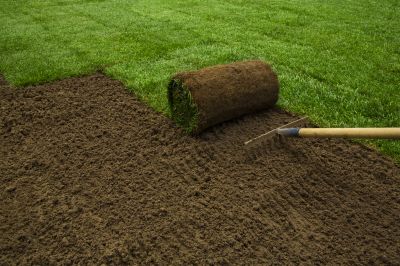Sod Installation in Aiken, SC