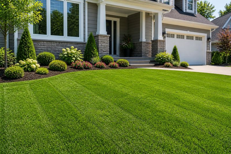 Sod Replacement in Rockwall, TX
