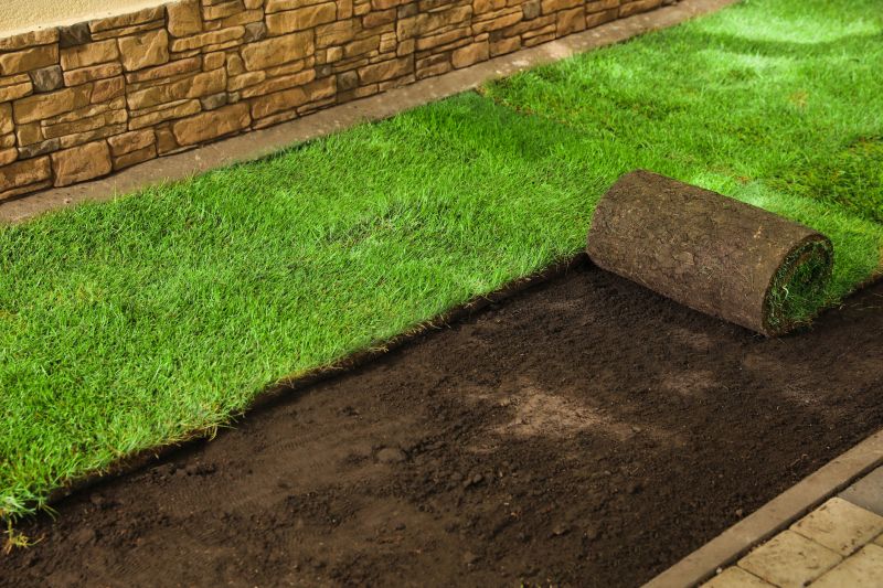 Sod Replacement in Aiken, SC