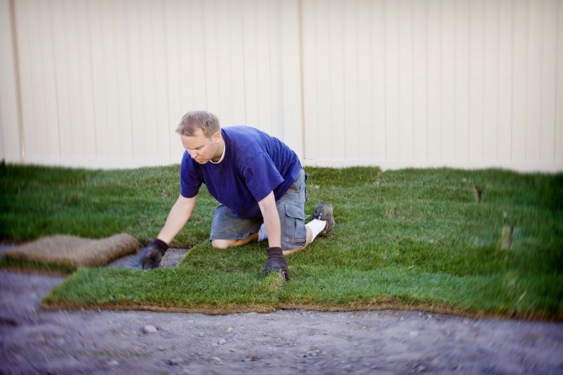 Sod Replacement in Ventura County, CA