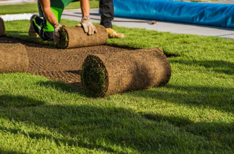 Yard Sodding in Honolulu, HI