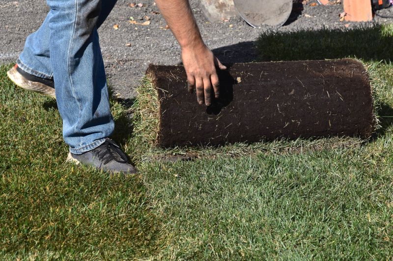 Yard Sodding in Aiken, SC