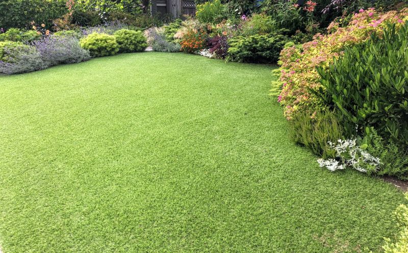 Zoysia Grass Installation in Honolulu, HI