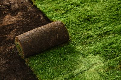 Achieve a Green Lawn Quickly with Sod Installation!